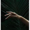 Handing A Leaf Canvastavla (30x40 cm)