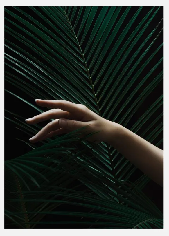 Handing A Leaf Canvastavla (30x40 cm)