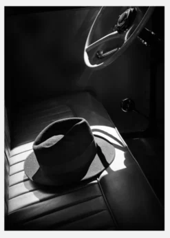 Hat In Car Canvastavla (30x40 cm)