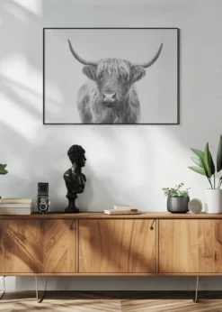 Highland Bull Poster (21x29.7 cm (A4))