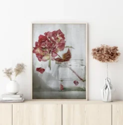 Hydrangea Poster (21x29.7 cm (A4))