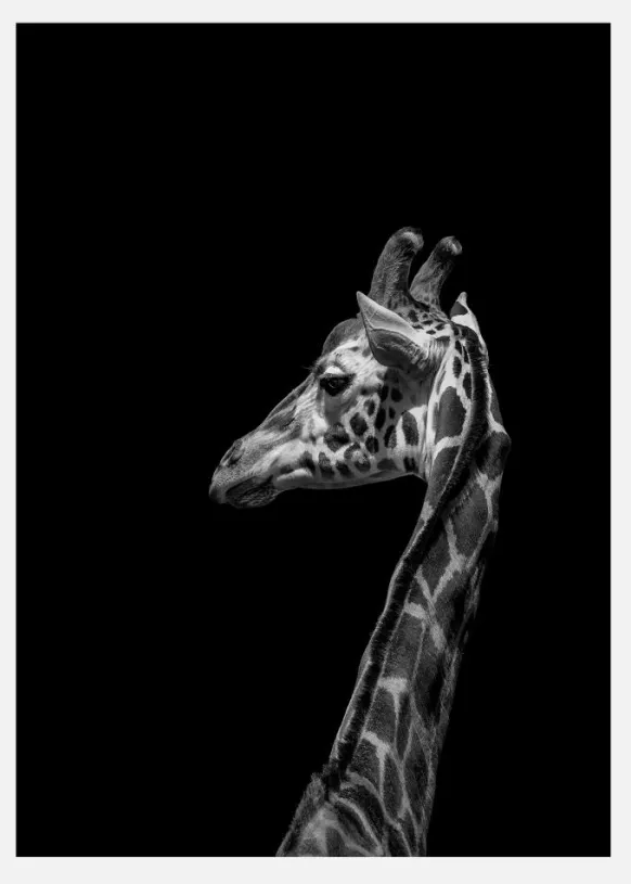 I'm Not Happy Canvastavla (30x40 cm)