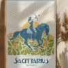Jlr Sagittarius Copy Poster (21x29.7 cm (A4))