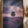 Lavender Fields Poster (21x29.7 cm (A4))