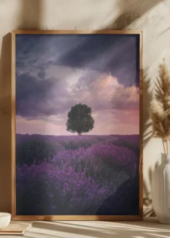 Lavender Fields Poster (21x29.7 cm (A4))