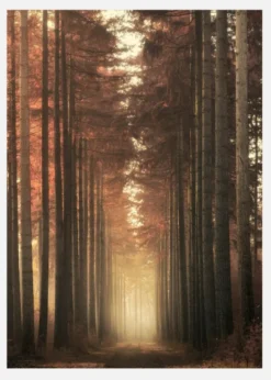 Light Burning Canvastavla (30x40 cm)
