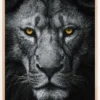 Look At Me Poster (21x29.7 cm (A4))