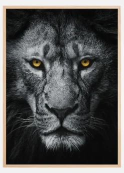 Look At Me Poster (21x29.7 cm (A4))