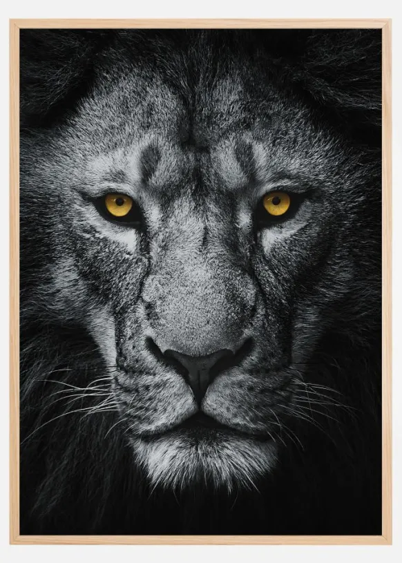 Look At Me Poster (21x29.7 cm (A4))