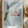 Lotus Flowers Poster (21x29.7 cm (A4))