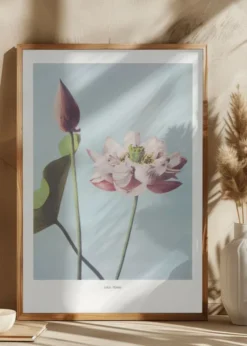 Lotus Flowers Poster (21x29.7 cm (A4))