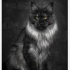 Maincoon Canvastavla (30x40 cm)