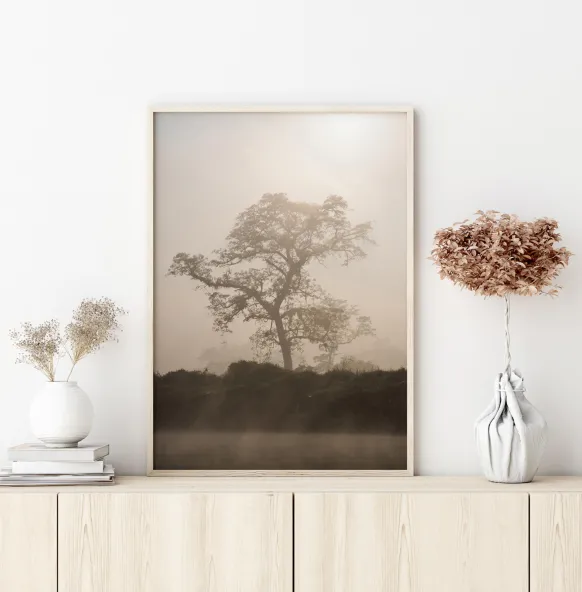 Misty Tree Poster (21x29.7 cm (A4))