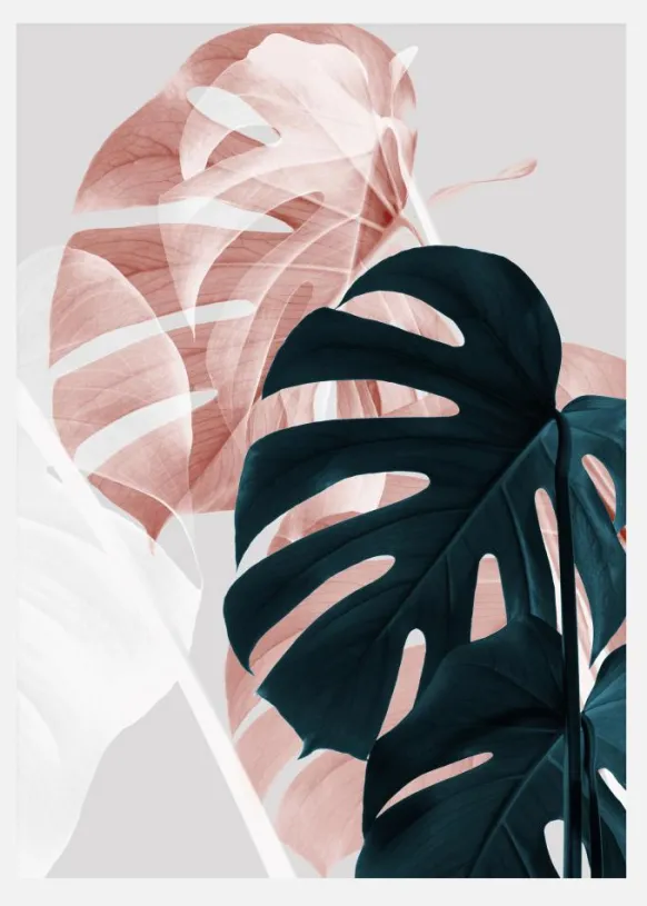 Monstera Creative I Canvastavla (30x40 cm)