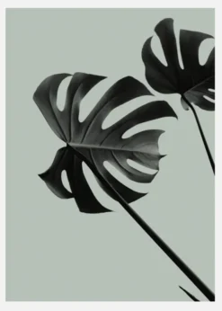 Monstera Teal II Canvastavla (30x40 cm)