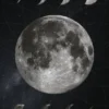 Moon Phases Poster (21x29.7 cm (A4))