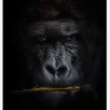 Mysterious Gorilla Canvastavla (30x40 cm)