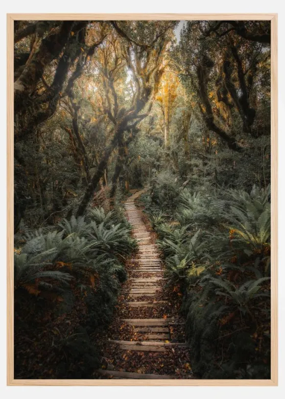 Narrow Path Poster (21x29.7 cm (A4))