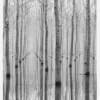 Novembre 2014 Canvastavla (30x40 cm)
