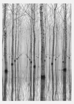 Novembre 2014 Canvastavla (30x40 cm)