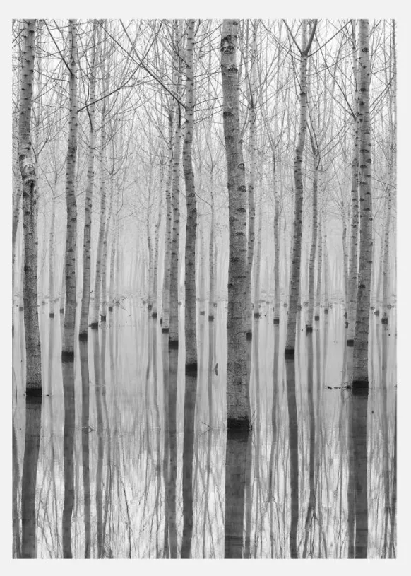 Novembre 2014 Canvastavla (30x40 cm)
