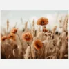 Orange Poppy Field Canvastavla (30x40 cm)