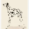 Pandc Dalmation Canvastavla (30x40 cm)