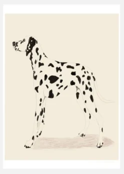 Pandc Dalmation Canvastavla (30x40 cm)