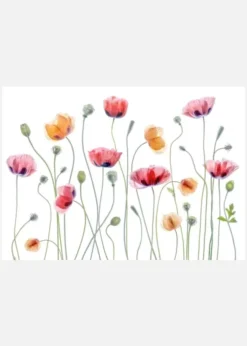 Papaver Party Canvastavla (30x40 cm)
