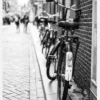 Park The Bicycles Canvastavla (30x40 cm)