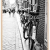 Park the Bicycles Poster (21x29.7 cm (A4))