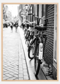 Park the Bicycles Poster (21x29.7 cm (A4))