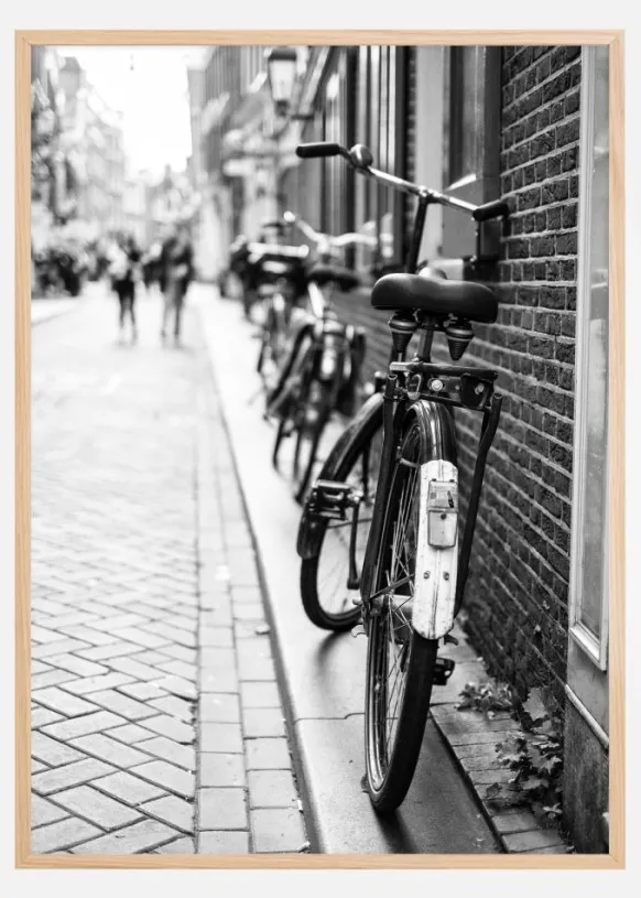 Park the Bicycles Poster (21x29.7 cm (A4))