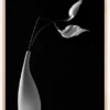 Passionately Poster (21x29.7 cm (A4))