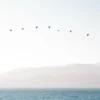 Pastel Blue Sea Poster (21x29.7 cm (A4))