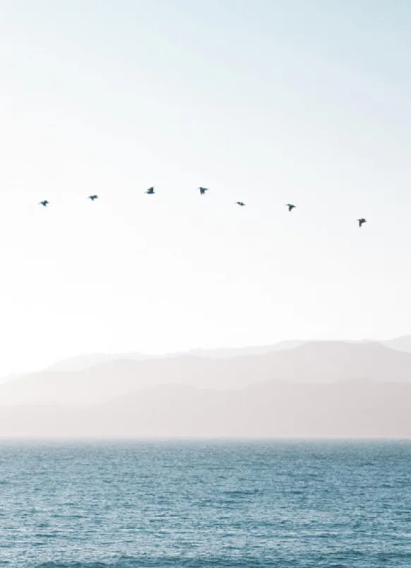 Pastel Blue Sea Poster (21x29.7 cm (A4))