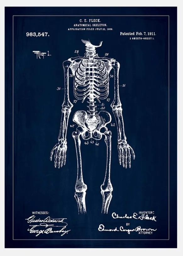 Patentritning - Anatomiskt Skelett I - Blå Canvastavla (30x40 cm)