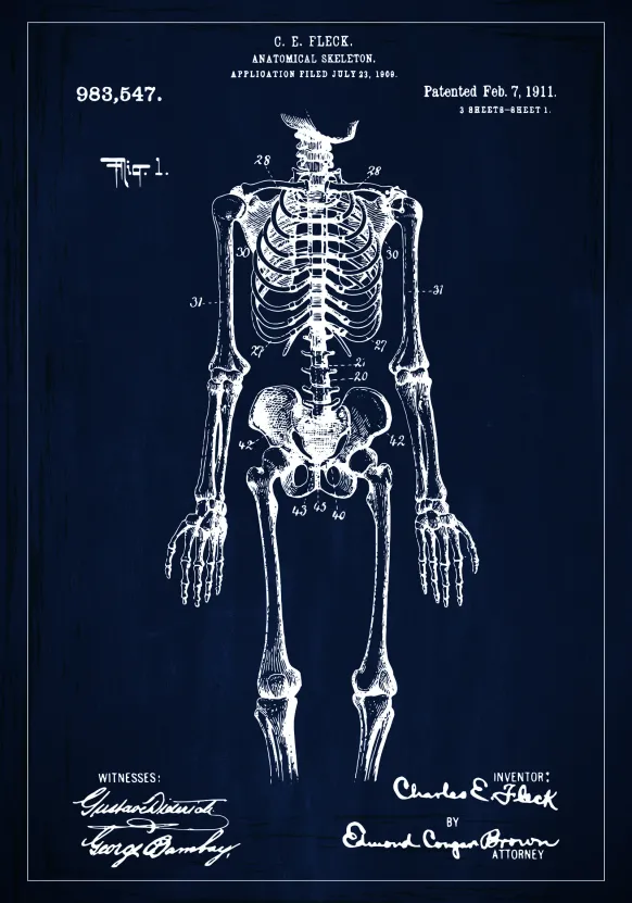 Patentritning - Anatomiskt skelett I - Blå Poster (21x29.7 cm (A4))