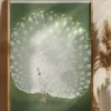 Peacock Poster (21x29.7 cm (A4))