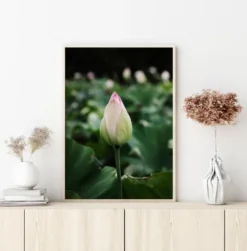 Peony Field Poster (21x29.7 cm (A4))