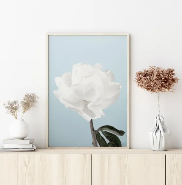 Peony Poster (21x29.7 cm (A4))