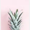 Pineapple Pink Canvastavla (30x40 cm)