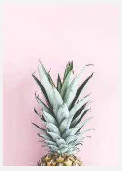 Pineapple Pink Canvastavla (30x40 cm)