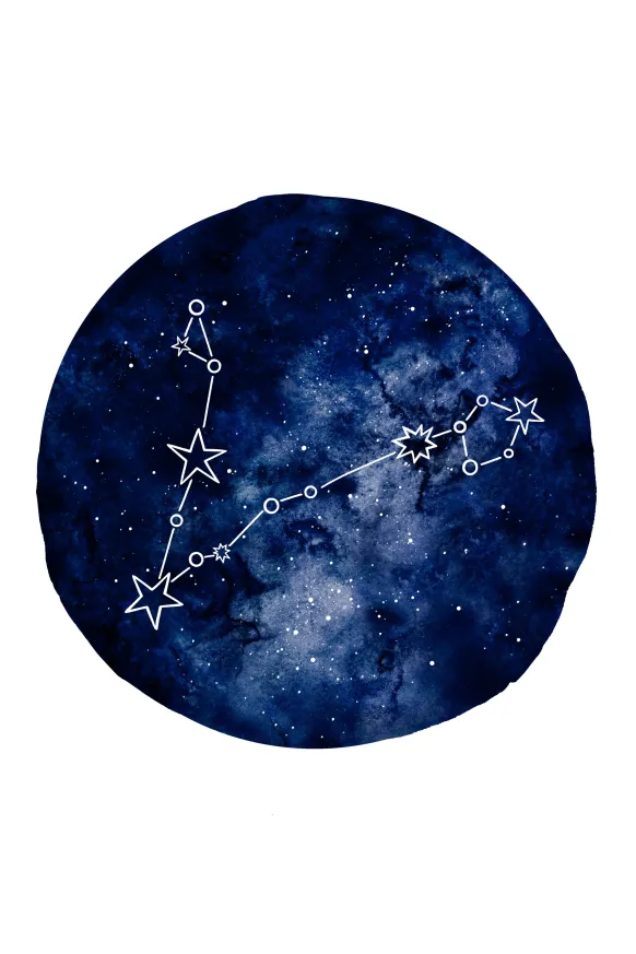 Pisces Poster (21x29.7 cm (A4))