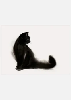 Playful Canvastavla (30x40 cm)