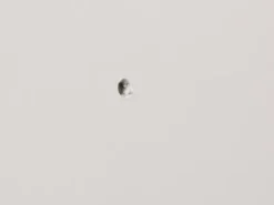Plugg 30 x 6 mm med skruv 10-p
