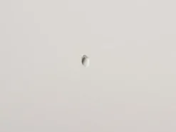 Plugg 30 x 6 mm med skruv 10-p