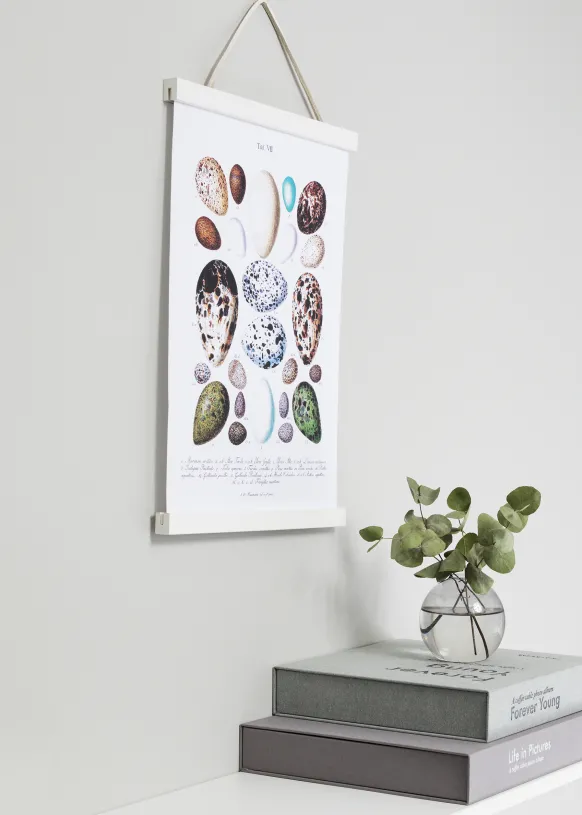 Posterhängare Vit - 40 cm