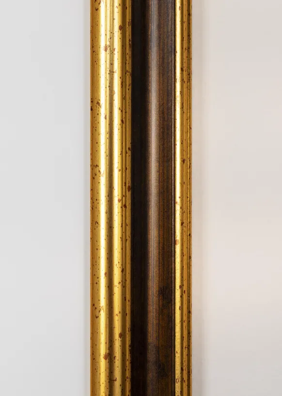 Ram Aberystwyth Guld 40x60 cm