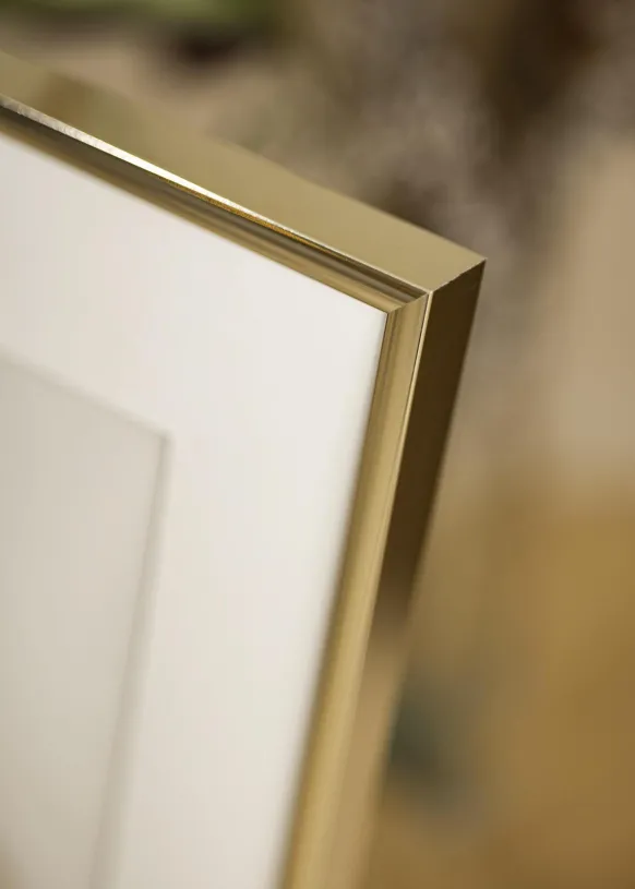 Ram Aluminium Blank Guld 30x40 cm